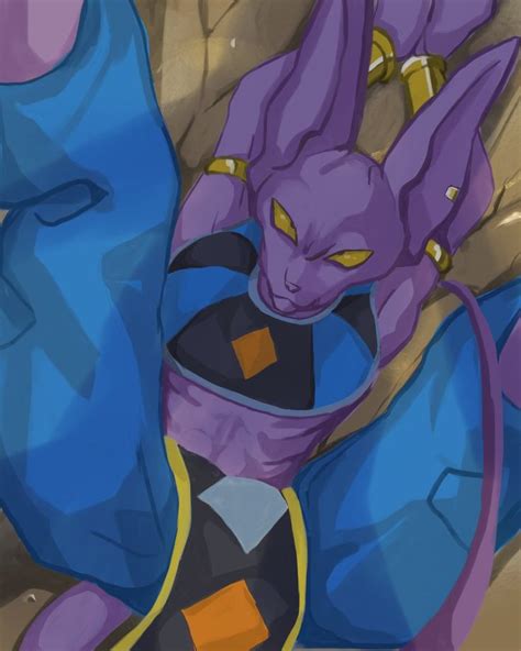 beerus porn